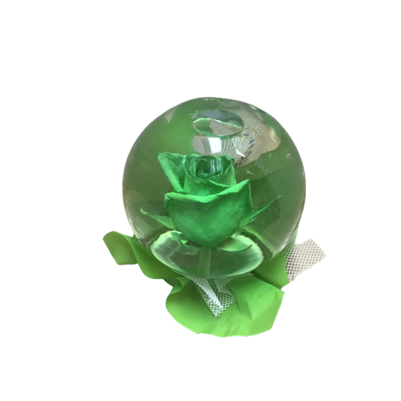 IMG-2608-removebg-preview