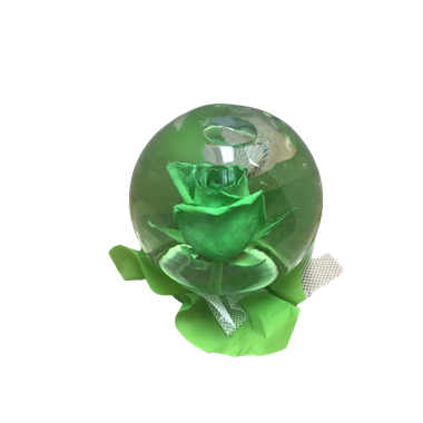 IMG-2608-removebg-preview