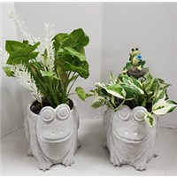 8_in_Cement_Frog_Planter_with_Frog_Pick_or_Silks_-_24.99