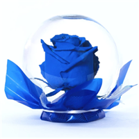Blue_rose_globe