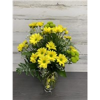 Delightful_Daisies_EV23-433-100