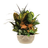 Mixed_Garden_Premium