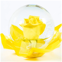 Yellow_rose_globe
